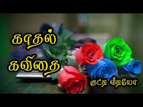 🌹💜❤-kathal-kavithai-tamil-(love-quotes-tamil)-whatsapp-video-🌹💜❤