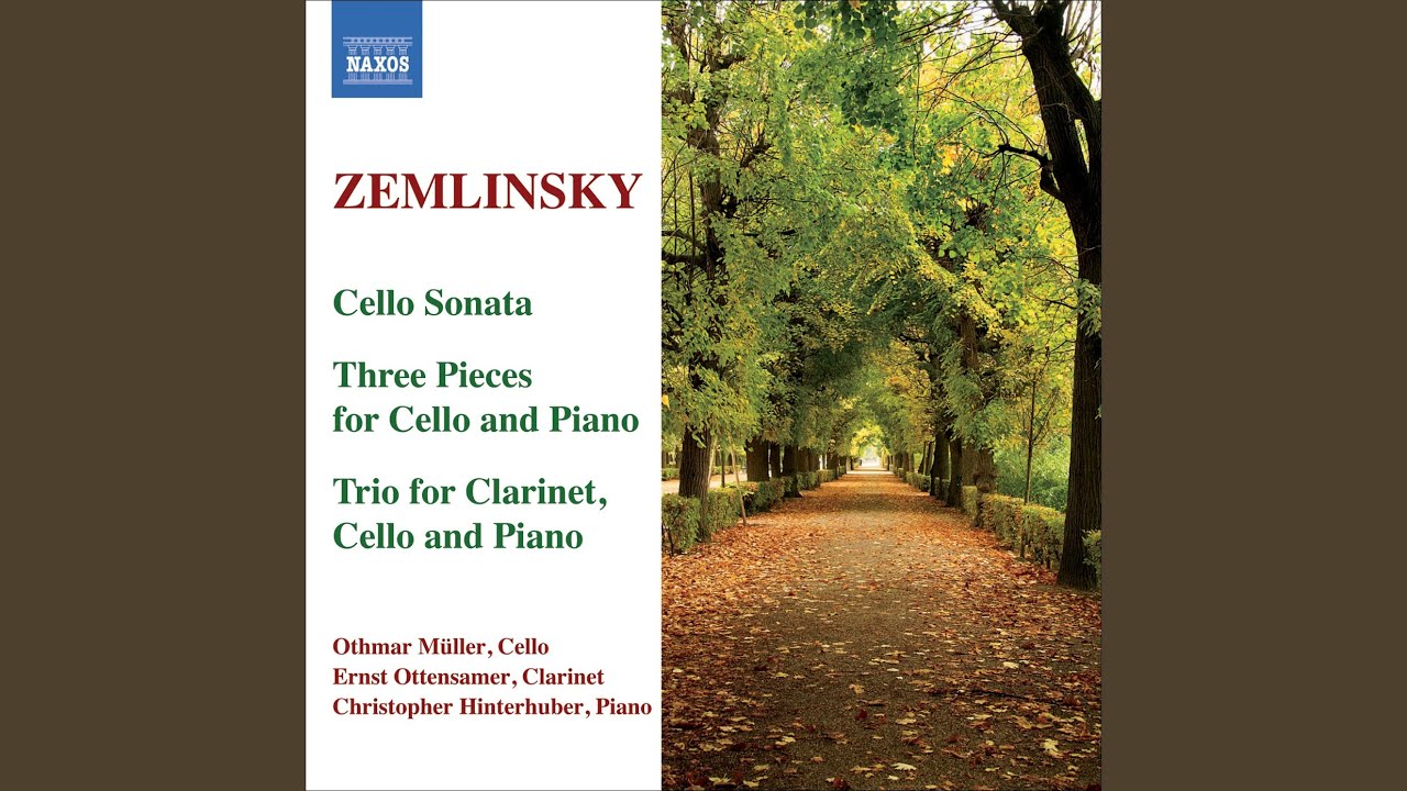 Mira Trio for Clarinet, Cello and Piano in D Minor, Op. 3: II. Andante en YouTube