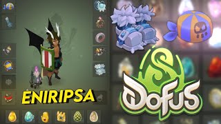 LES DEGATS ENORMES DE L'ENIRIPSA ?!