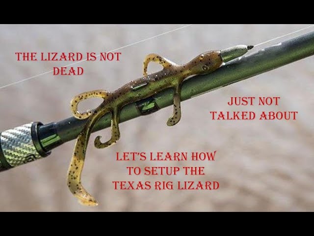 Fishing 102 - How to Texas Rig a Lizard 