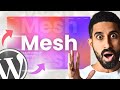 Comment faire ÇA sur WordPress ? 🌈 (Mesh Gradient)