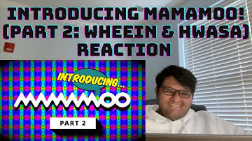 INTRODUCING MAMAMOO! (Part 2: Wheein & Hwasa) Reaction | Purple Hawke Reaction