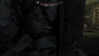 Skyrim dumb guards