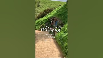 راحة نفسية ♥️✨ #quran #اكسبلور #إسلام_صبحي #تلاوة_خاشعة #سورة_يس #راحة_نفسية #عبدالرحمن_مسعد #لايك