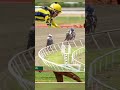 Match del z.m y un león afeitado