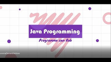 Somma Elementi Vettore con Java