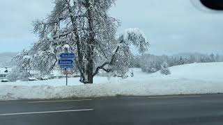 Driving in Beautiful Switzerland after Snowfall.......It’s wonderland🇨🇭 TIBETAN VLOGGER