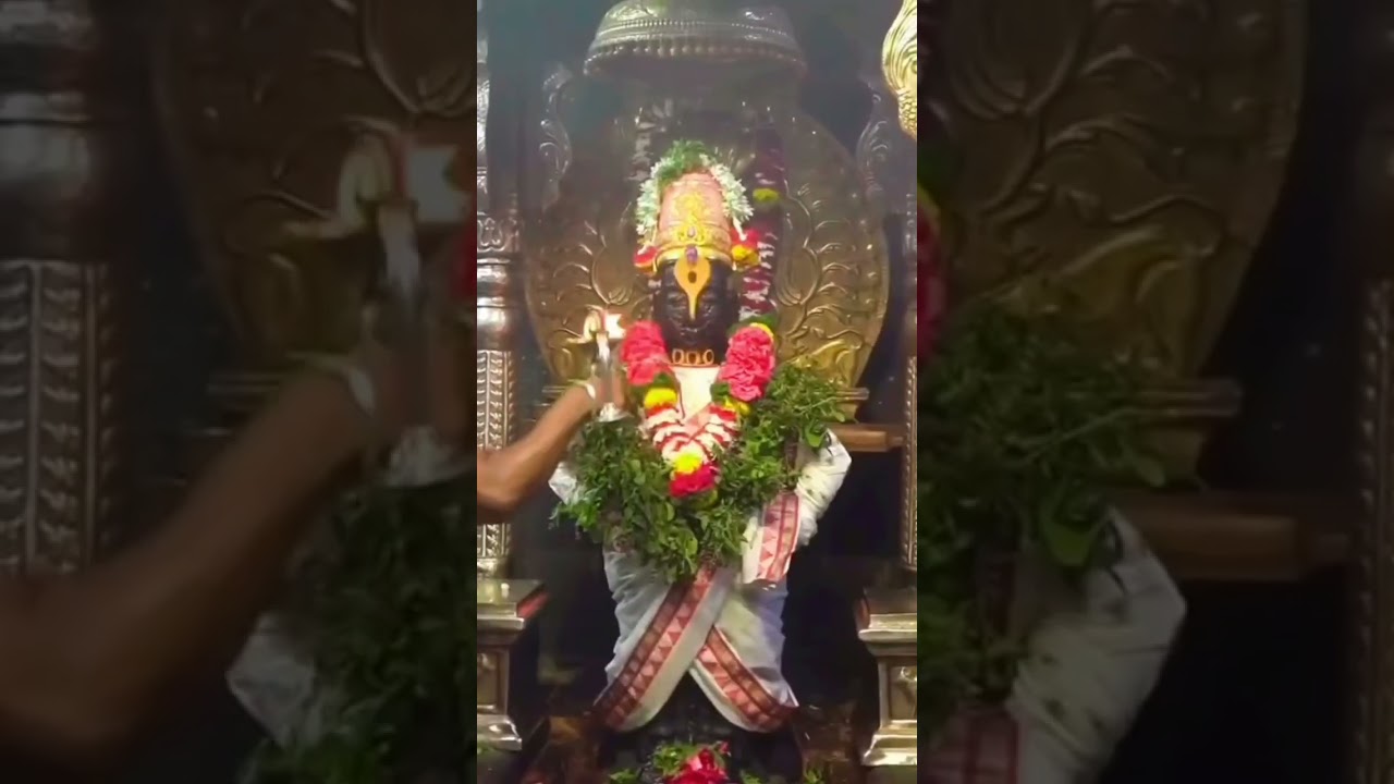 Lord Vital Pandaripuram darshan