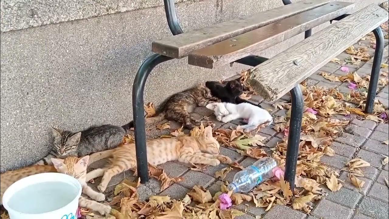 Анталья жара