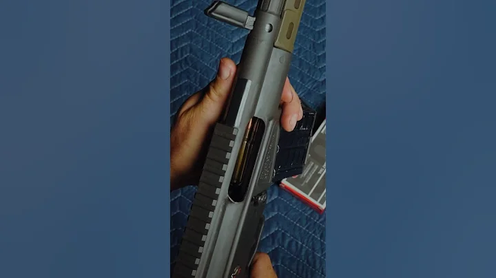 PTR 91 (HK G3 Clone)