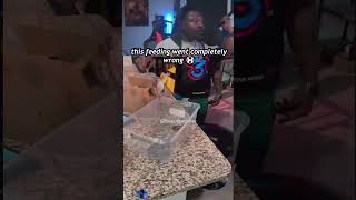Snake feeding went completely wrong