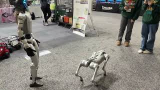 STEAM - Dancing Robots and Nurcs