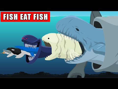 Fish Eat Fish | Monster Animation