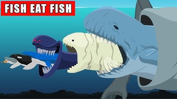 Fish Eat Fish | Monster Animation