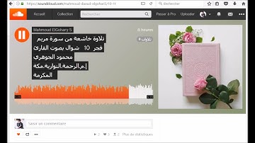 تلاوة خاشعة من سورة مريم  بصوت القارئ محمود الجوهري
