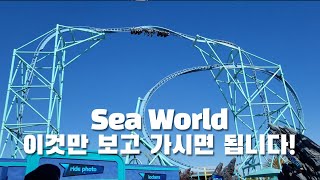 바다 동물의 천국 미국 씨월드 샌디에고 (SeaWorld)에 가보았습니다