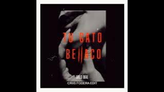 Milo Mae - Tu gato bellaco ( Criis Fodera edit)