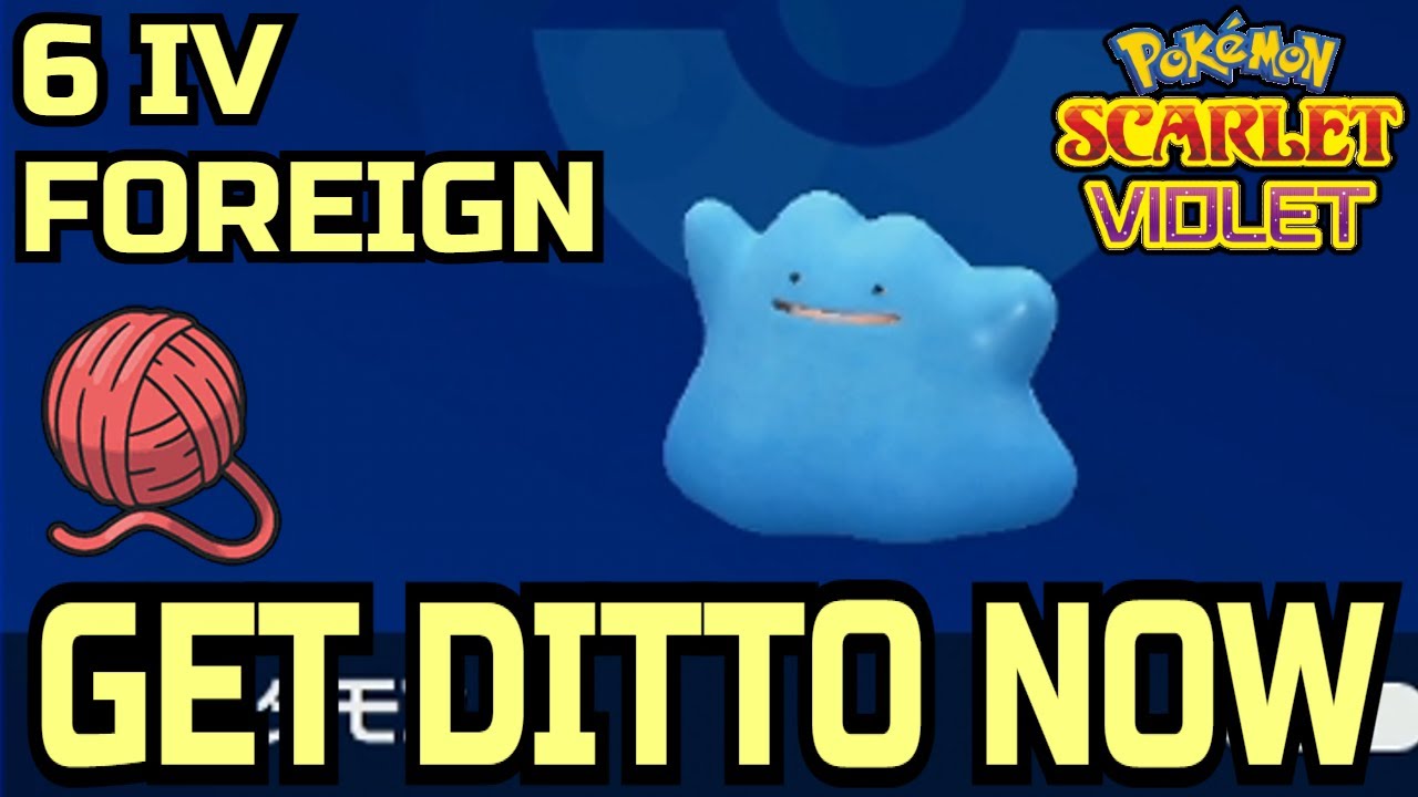 Pokemon Scarlet and Violet Shiny Japanese Breeding Ditto 6IV – Pokemon4Ever