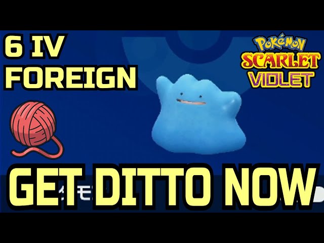 Get 6 IV Japanese SHINY Ditto NOW in Pokemon Brilliant Diamond Shining  Pearl 