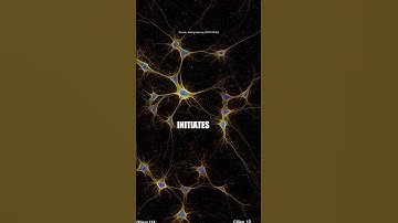 Ever wondered why some struggle with social interactions or recognizing faces? It all comes down to
