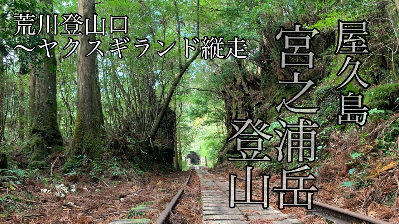 【宮之浦岳登山】素晴らしい　屋久島絶景てんこ盛りコース、荒川登山口〜ヤクスギランド縦走　県最高峰シリーズ　鹿児島県mountain climbing Yakushima
