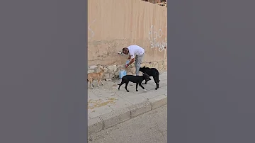 قطرات مياة بالنسبة لهم تساوي الحياه 