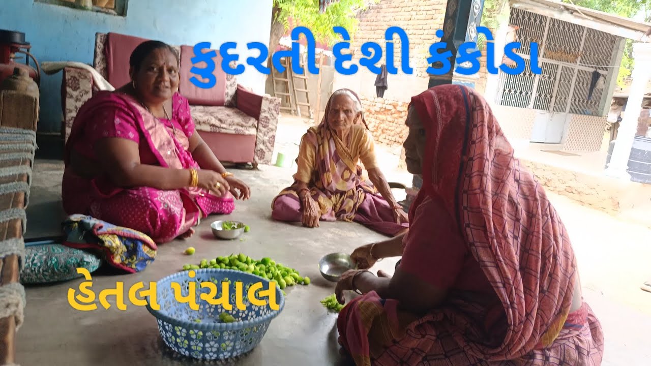 બનાસકાંઠા માં કુદરતી દેશી કંકોડા ની સીજન #viralvideo 
