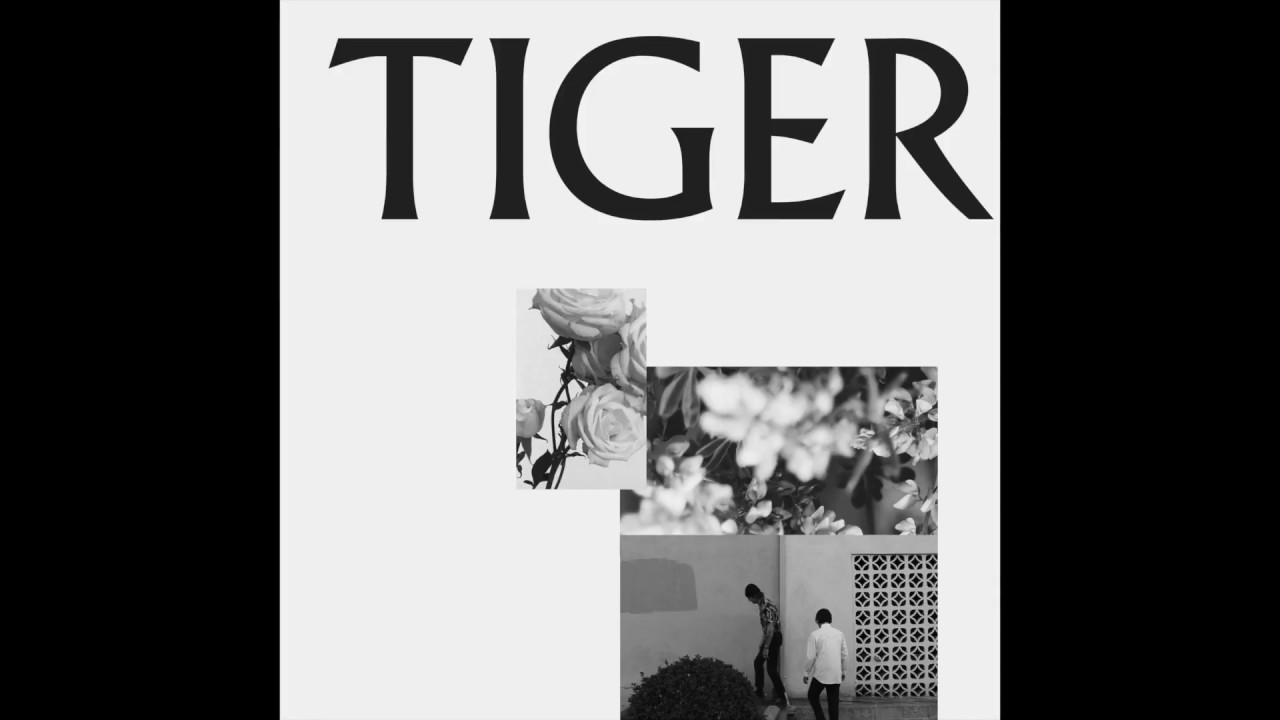 Guarda The Gloomies - Tiger su YouTube Guarda The Gloomies - Tiger su YouTube