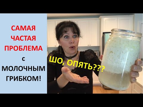 САМАЯ ЧАСТАЯ ПРОБЛЕМА с Молочным Грибком! 13 ч.