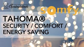 SPRINGBLINDS: SOMFY TaHoma® Security | Energy Saving | Comfort
