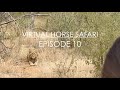 Virtual Horse Safari Episode 10