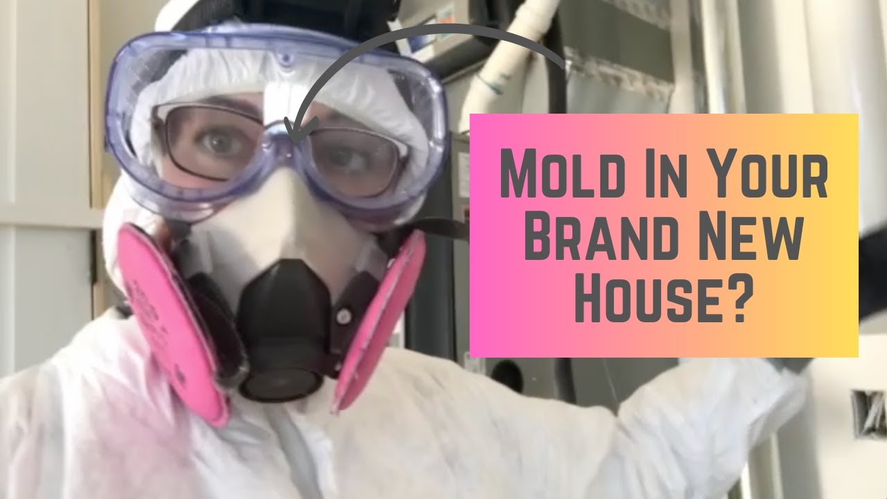 Even Brand New Homes Can Have Mold! YouTube