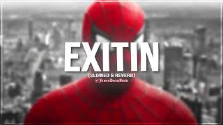 Cece Natalie - Exitin (slowed & reverb)