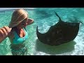 SWIMMING WITH STINGRAYS IN ANTIGUA