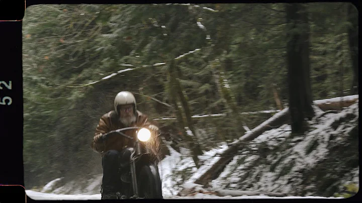 Black Bear Brand in the Cascades