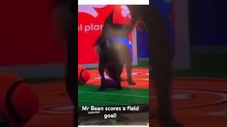 Our very own Mr Bean was in the Puppy Bowl XX He scored his team Ruff took it by 3 for the win