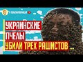 Отличная новость! Украинские пчелы уничтожили трех рашистов и 25 госпитализировано