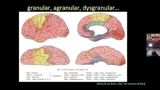 Jon Polimeni: Layer fMRI: An Overview