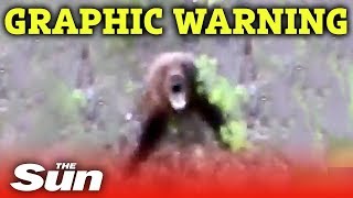 Man kicks bear, quickly regrets his decision