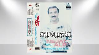 Nejat Alp-Yarim Seni Unutamam (1987)