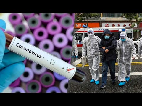 ¿qué-es-el-corona-virus?