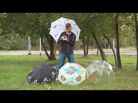 Как выбрать зонт: практические рекомендации и советы