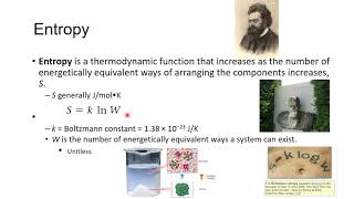 Chapter 18.3: Entropy