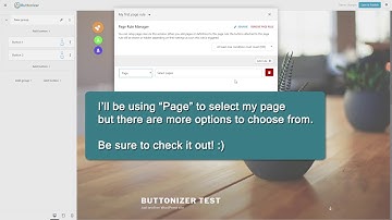 Buttonizer 2.0 - How to make a button appear only on certain pages