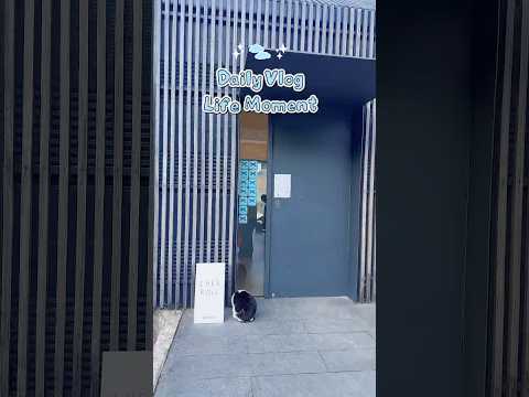 매년 블루리본 받는 양평 롤케이크 맛집 근황 🍰