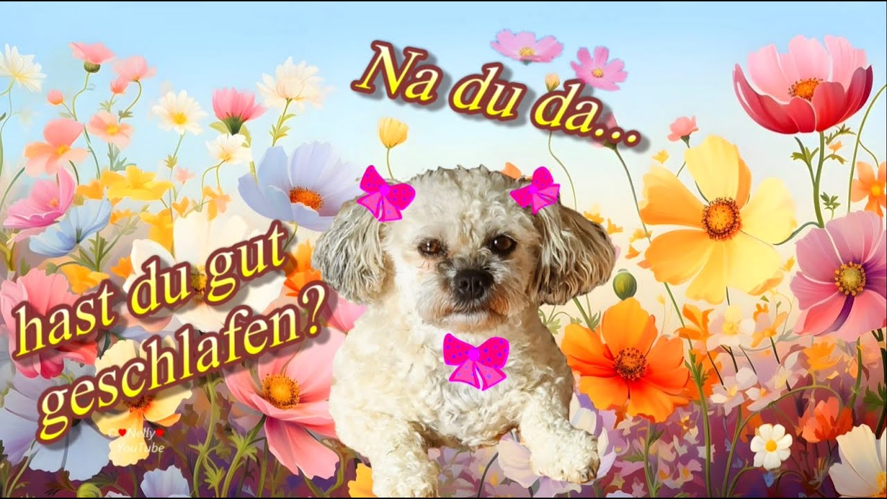 Na Du Bilder