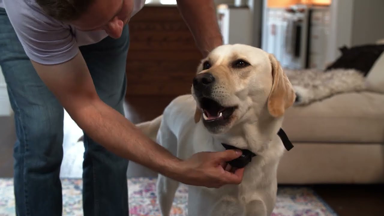 De Stay & Play® compacte unit voor draadloze omheining installeren