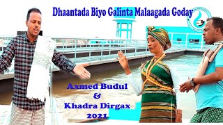 DHAANTADA BIYO GALINTA GODAY | AXMED BUDUL & KHADRA DIRGAX | | OFFICIAL SOMALI MUISC VIDEO 2021