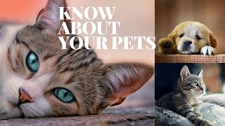 Cute Cats For Home | Baby Cat For Family | Cute Pets For Home | Sweet Cat For Home | Cats Breed by PETS CANDY 9 views 1 year ago 4 minutes, 36 seconds