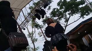 New pallapa live tegal muarareja